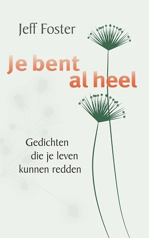 Je bent al heel – Jeff Foster – boek cover