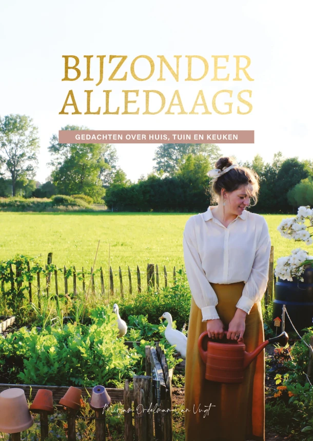 Bijzonder alledaags – Mirjam Ordelman-Van Vugt – boek cover