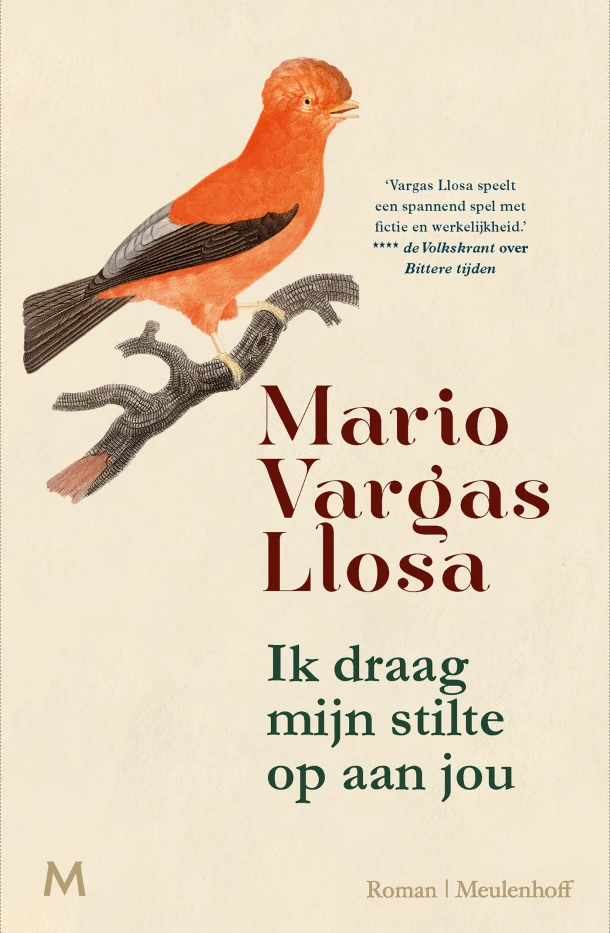 Ik draag mijn stilte op aan jou – Mario Vargas Llosa – boek cover