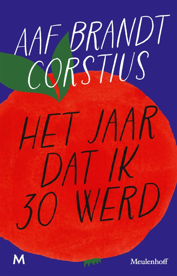 Het jaar dat ik 30 werd – Aaf Brandt Corstius – boek cover