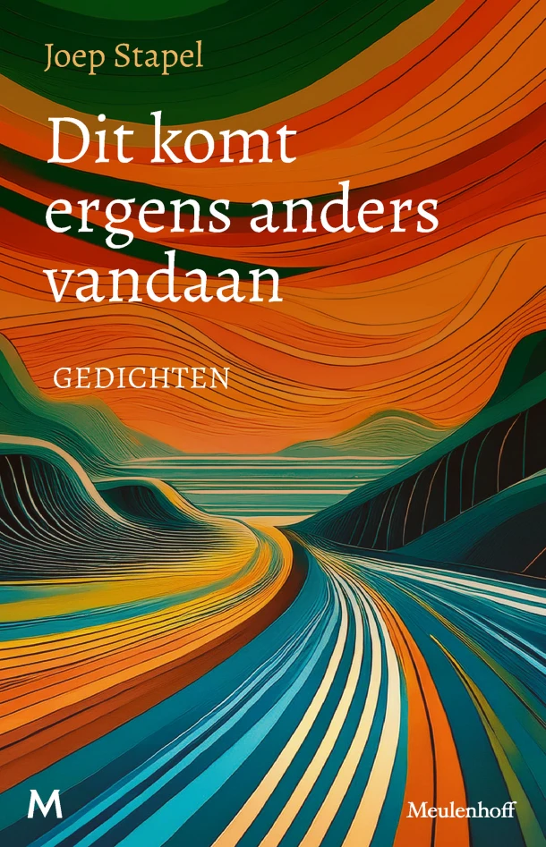 Dit komt ergens anders vandaan – Joep Stapel – boek cover