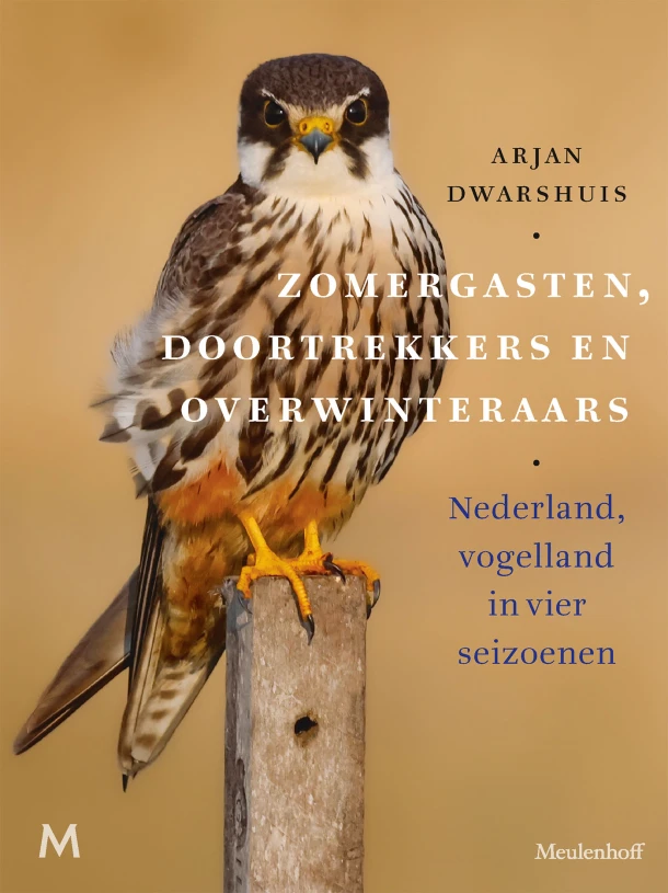 Zomergasten, doortrekkers en overwinteraars – Arjan Dwarshuis – boek cover