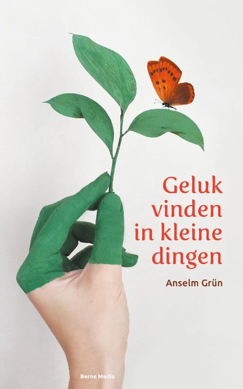Geluk vinden in kleine dingen – Anselm Grün – boek cover