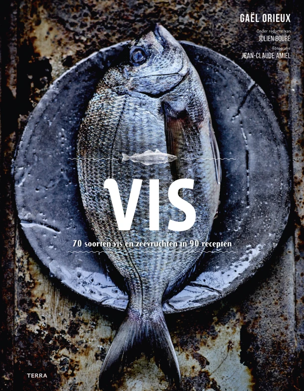 Vis – Gaël Orieux – boek cover