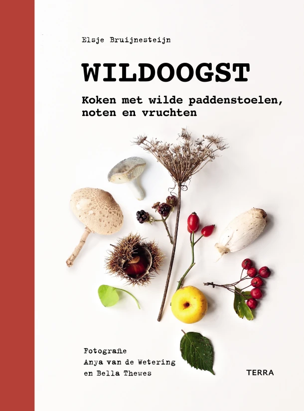 Wildoogst – Elsje Bruijnesteijn – boek cover