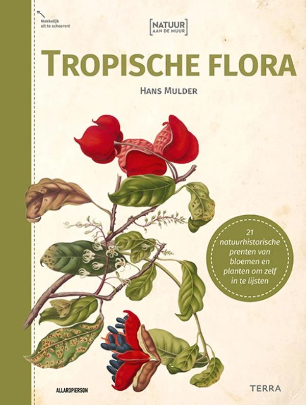 Natuur aan de muur - Tropische Flora – Hans Mulder – boek cover