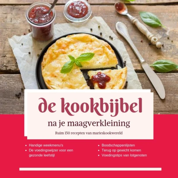 de Kookbijbel na je maagverkleining – Marie josee Koks – boek cover