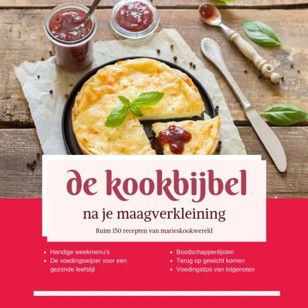 de Kookbijbel na je maagverkleining – Marie josee Koks – boek cover
