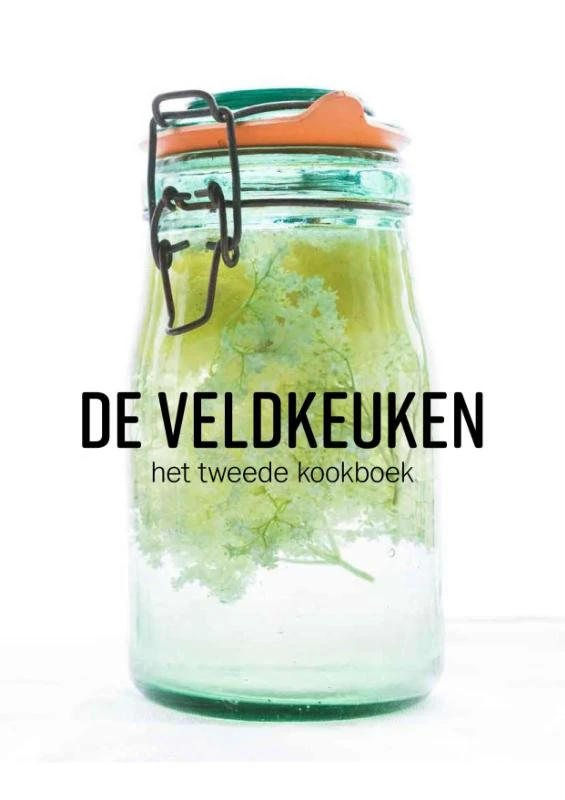 2 – Femke de Winter-Went – boek cover