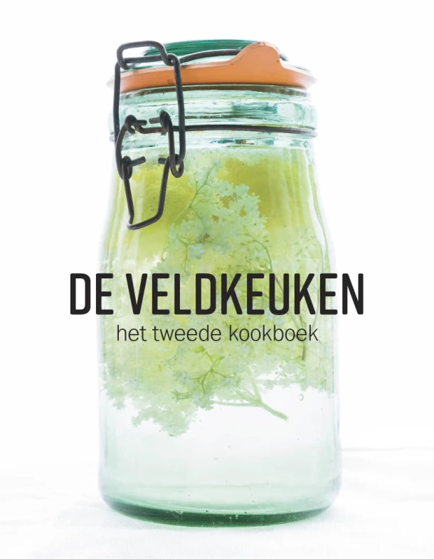 2 – Femke de Winter-Went – boek cover