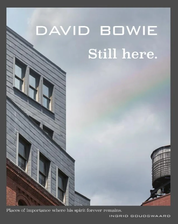 David Bowie Still here – Ingrid Goudswaard – boek cover