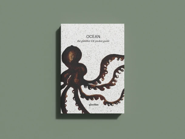 OCEAN the gloobles UK pocket guide – Toby Skinner – boek cover