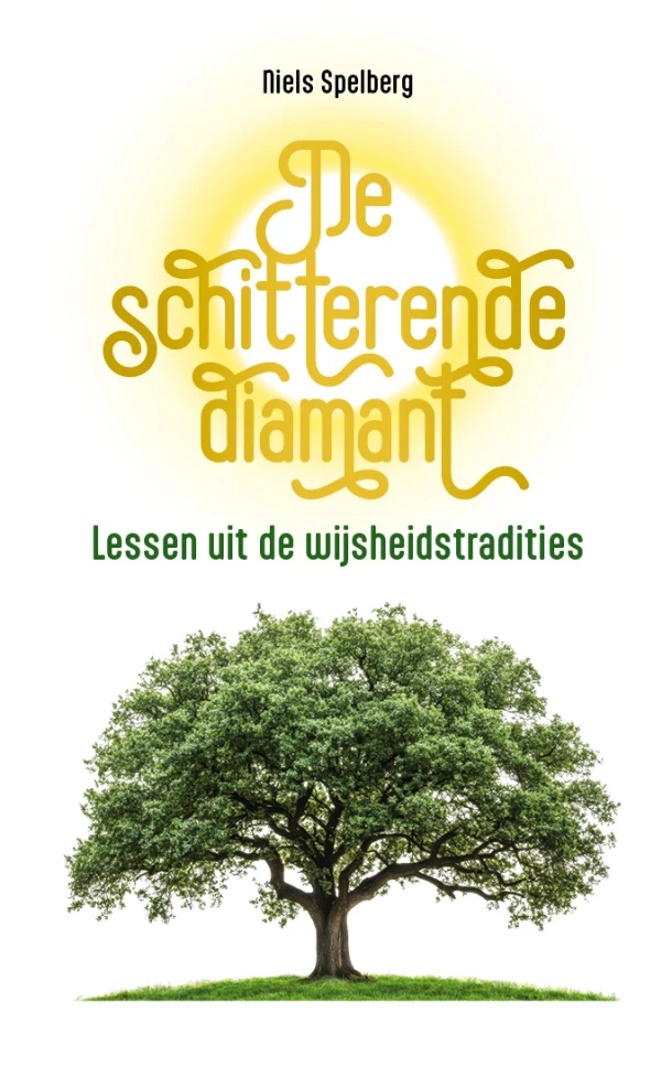 De schitterende diamant – Niels Spelberg – boek cover