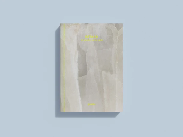 GSTAAD – Stephanie van Rappard – boek cover