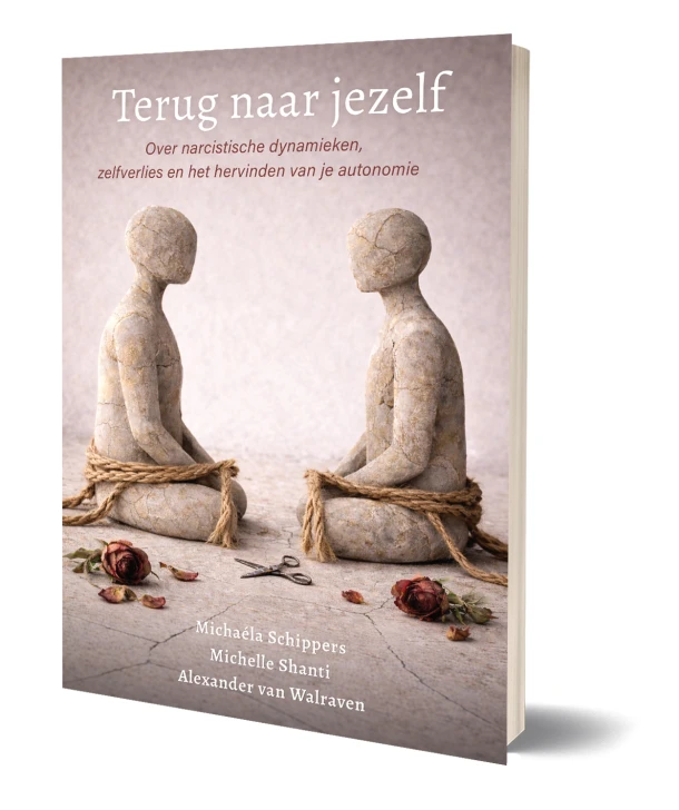 Terug naar jezelf ā MichaĆ©la Schippers ā boek cover