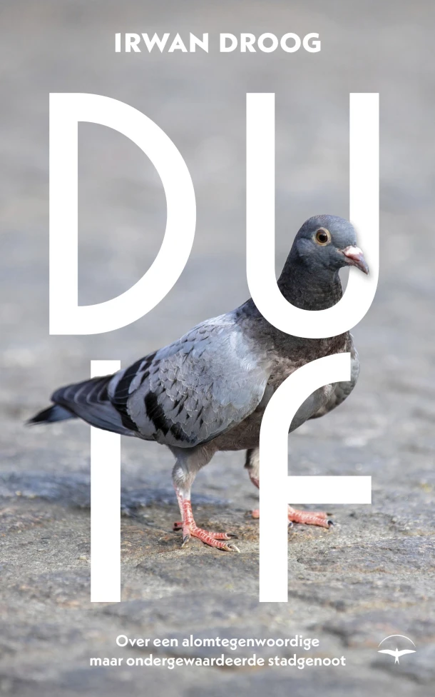 Duif – Irwan Droog – boek cover