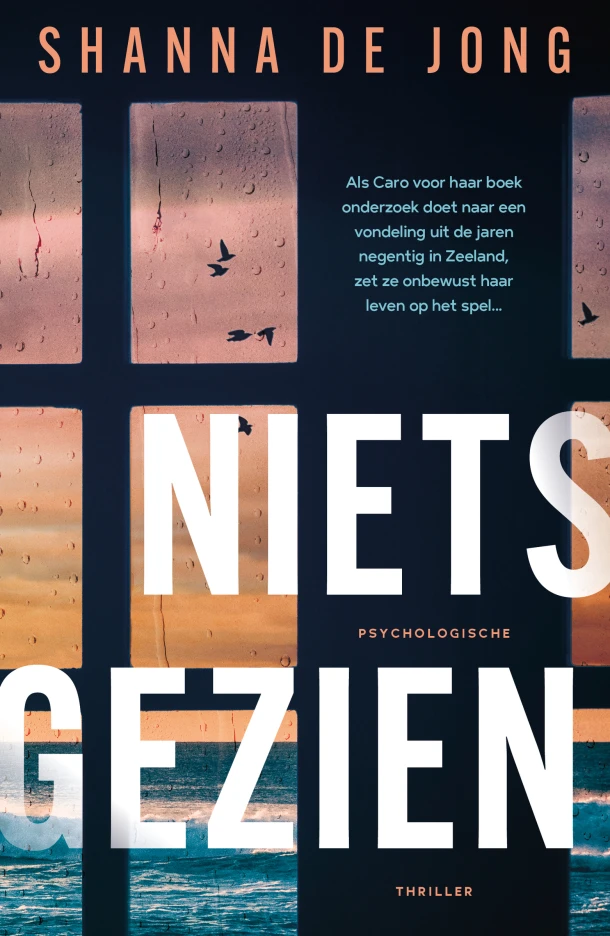Niets gezien – Shanna de Jong – boek cover
