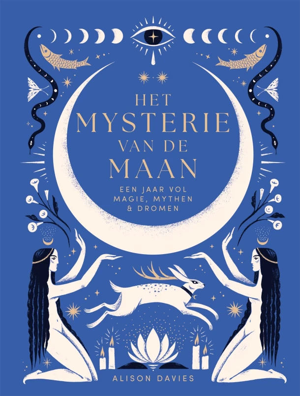 Het mysterie van de maan – Alison Davies – boek cover