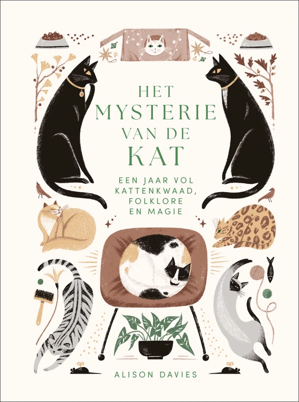Het mysterie van de kat – Alison Davies – boek cover