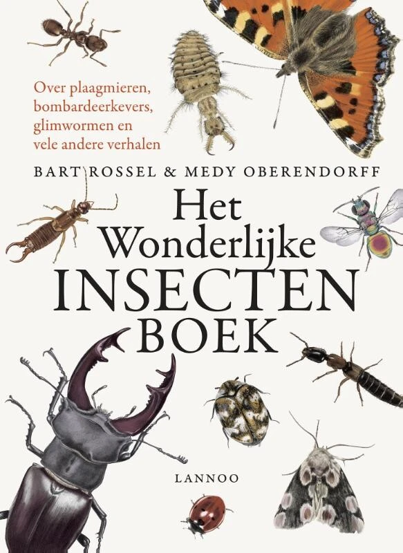Het wonderlijke insectenboek – Bart Rossel – boek cover