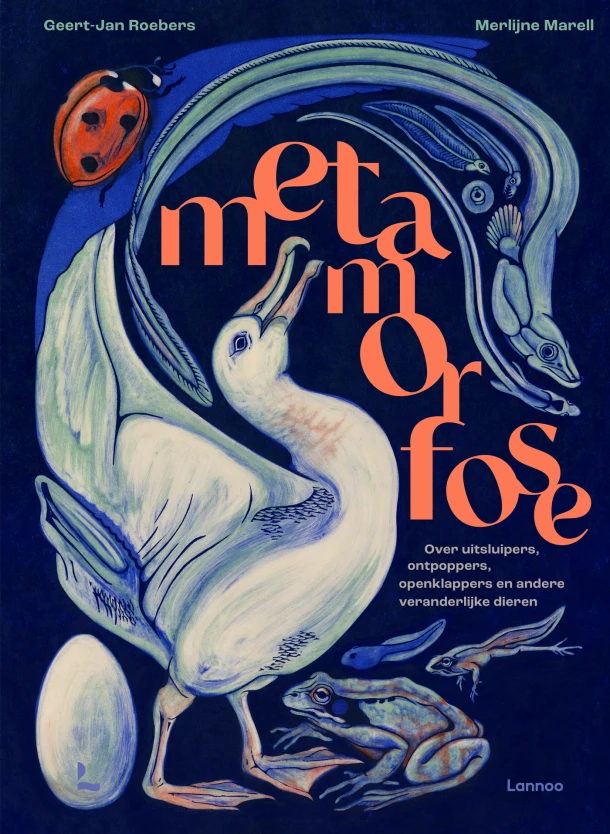 Metamorfose – Geert-Jan Roebers – boek cover