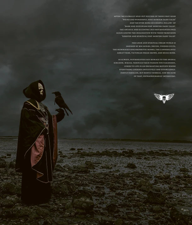 Sinister and Spiritual Post-Mortem Fairy Tales – Mothmeister – boek cover