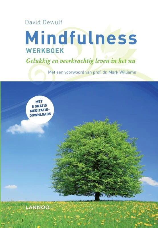 Mindfulness werkboek – David Dewulf – boek cover