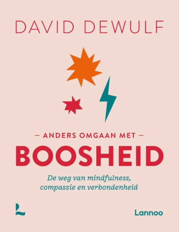 Anders omgaan met boosheid – David Dewulf – boek cover