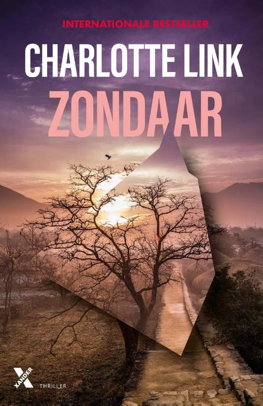 Zondaar – Charlotte Link – boek cover