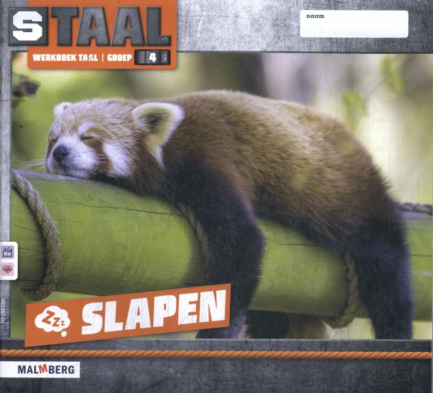Werkboek Taal – boek cover