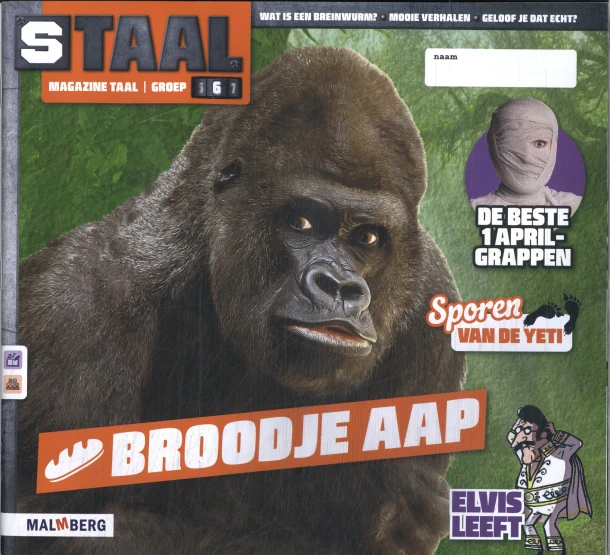 magazine taal – boek cover