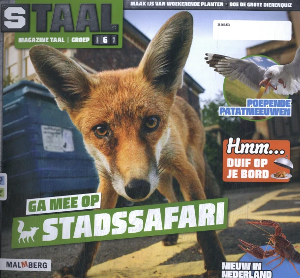 groep 6 thema 6 stadssafari – boek cover