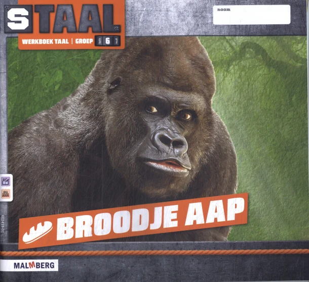Werkboek taal – boek cover