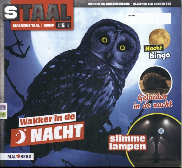 groep 5 thema 3 Taal magazineNacht – boek cover