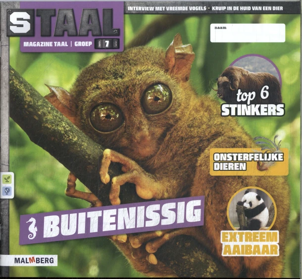 groep 7 thema 4 Taal magazine Buitenissig – boek cover