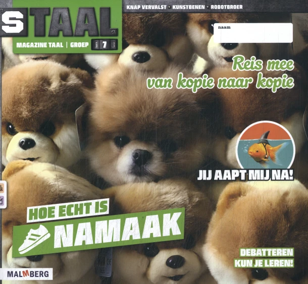 groep 7 thema 6 namaak – boek cover