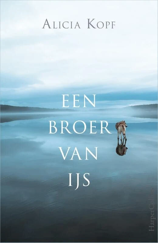 Een broer van ijs – Alicia Kopf – boek cover