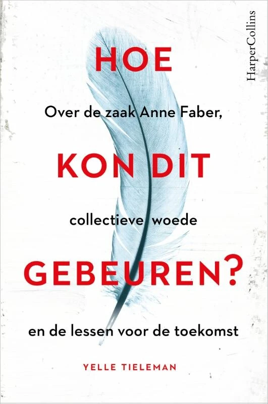 Hoe kon dit gebeuren – Yelle Tieleman – boek cover