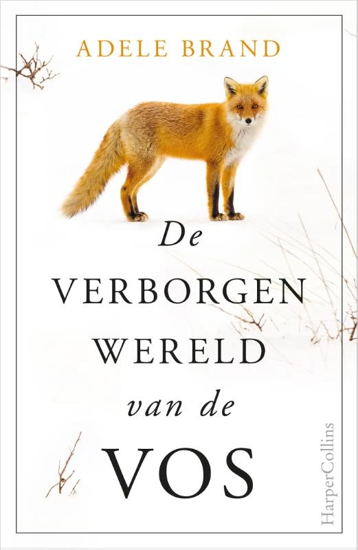 De verborgen wereld van de vos – Adele Brand – boek cover