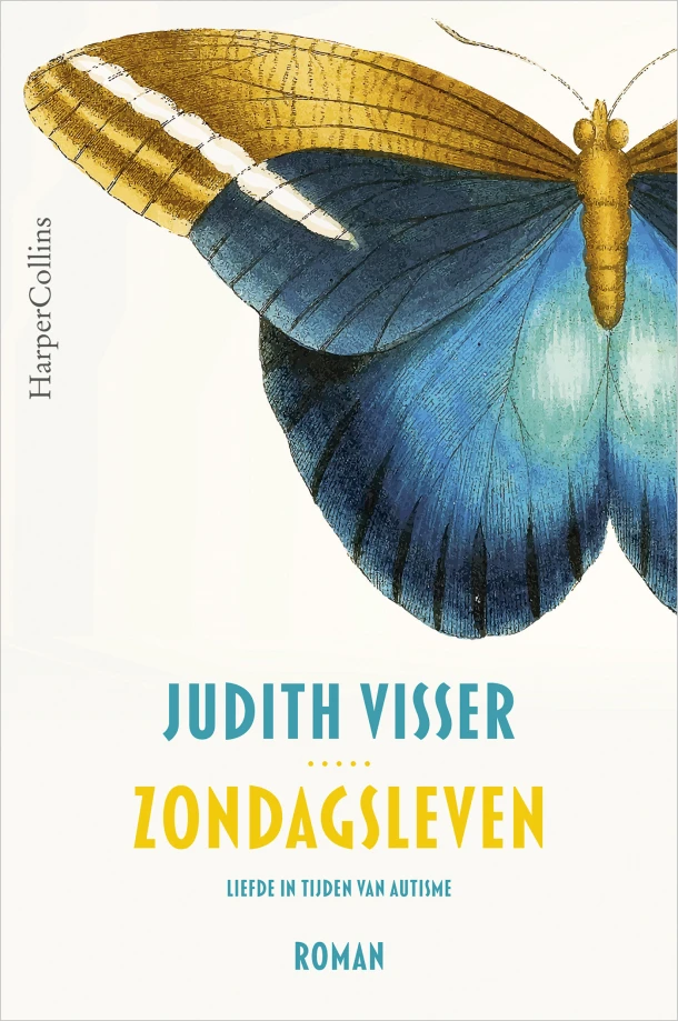 Zondagsleven – Judith Visser – boek cover