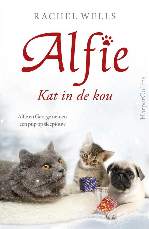 Kat in de kou – Rachel Wells – boek cover