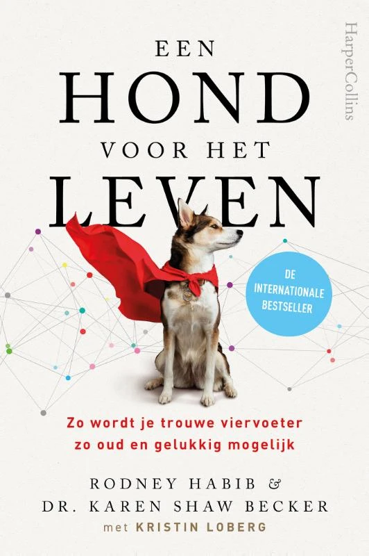 Een hond voor het leven