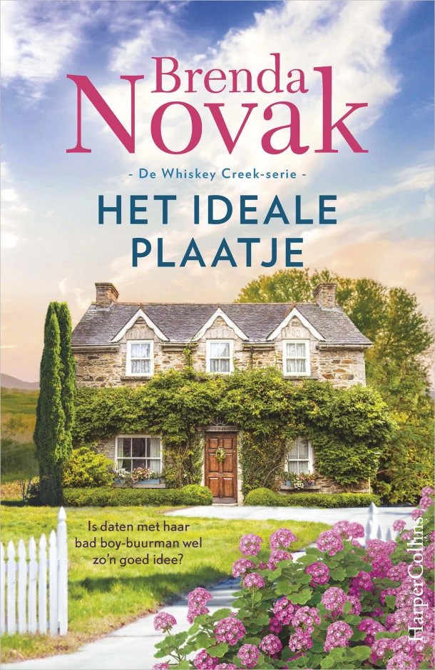 Het ideale plaatje – Brenda Novak – boek cover
