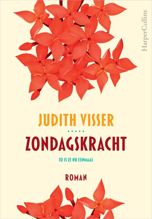Zondagskracht - Ellips bij 6 ex. – Judith Visser – boek cover