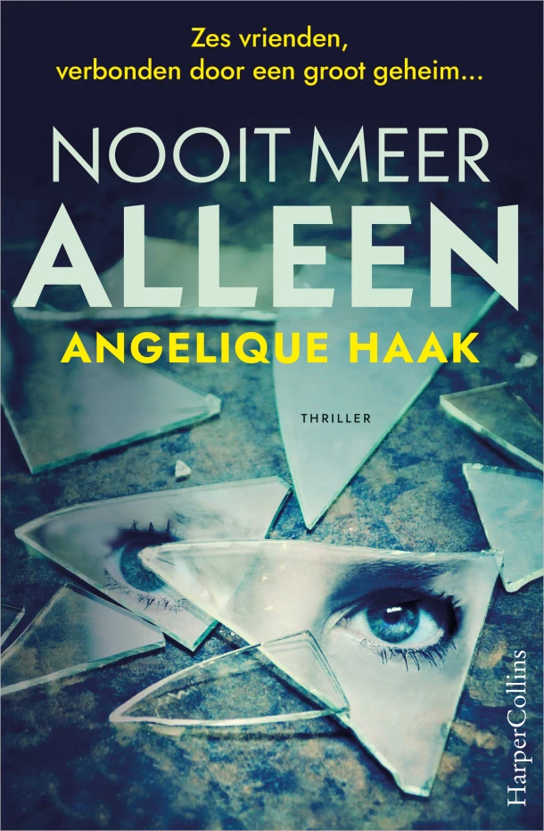Nooit meer alleen – Angelique Haak – boek cover