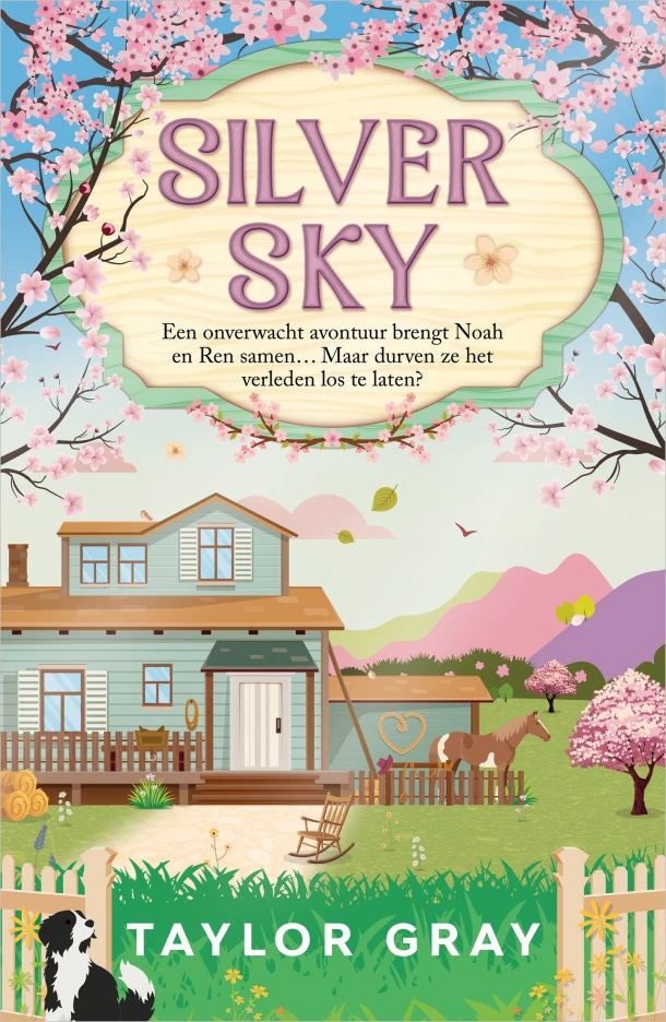 Silver Sky – Taylor Gray – boek cover