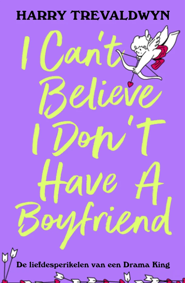 I Can't Believe I Don't Have a Boyfriend – Harry Trevaldwyn – boek cover