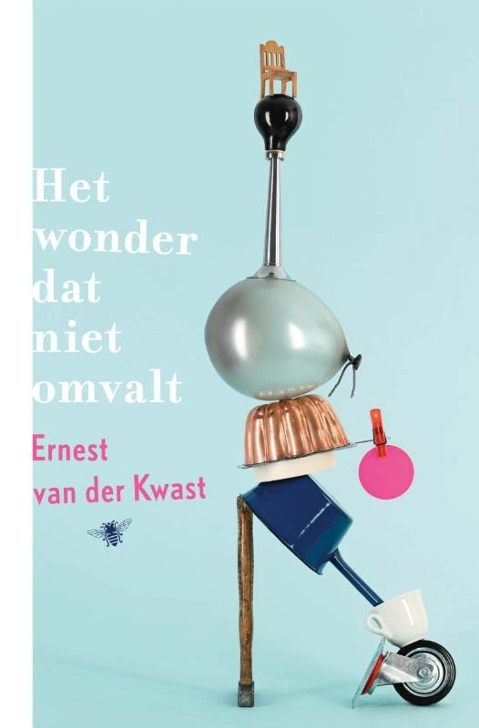Het wonder dat niet omvalt – Ernest van der Kwast – boek cover