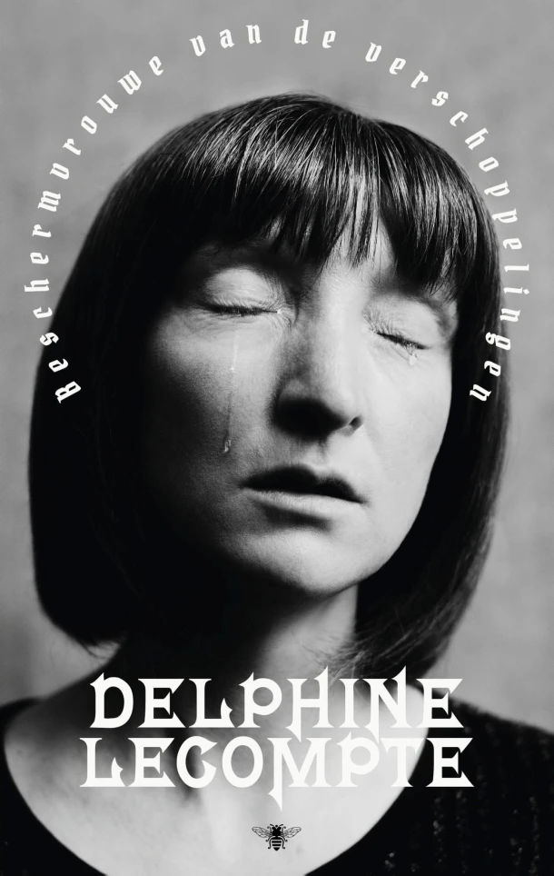 Beschermvrouwe van de verschoppelingen – Delphine Lecompte – boek cover