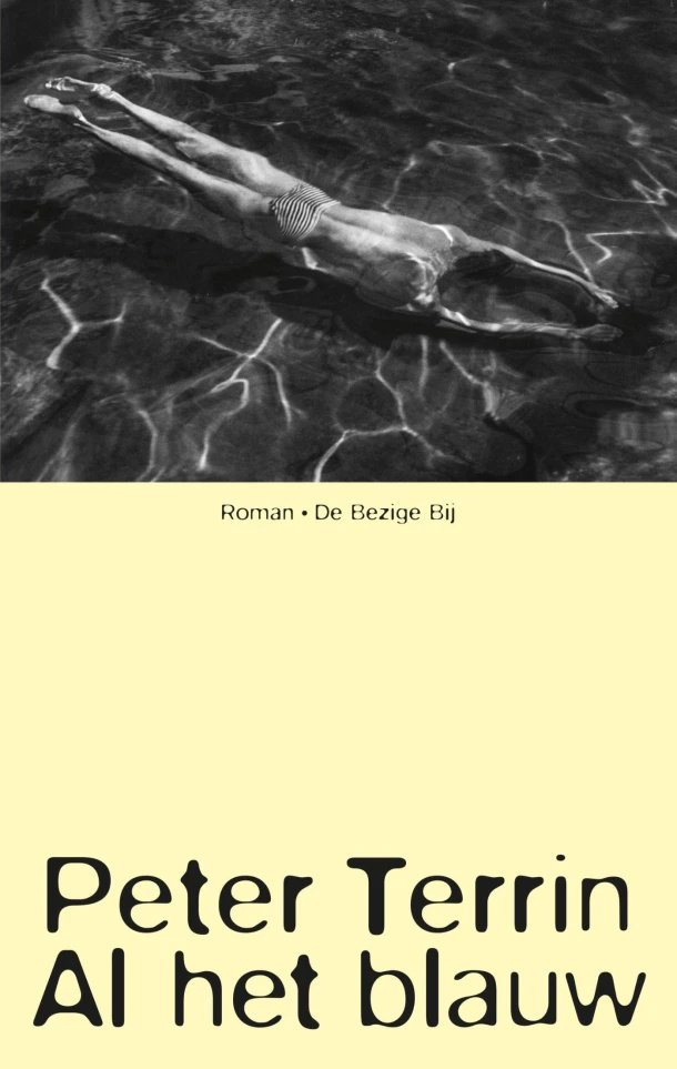 Al het blauw – Peter Terrin – boek cover